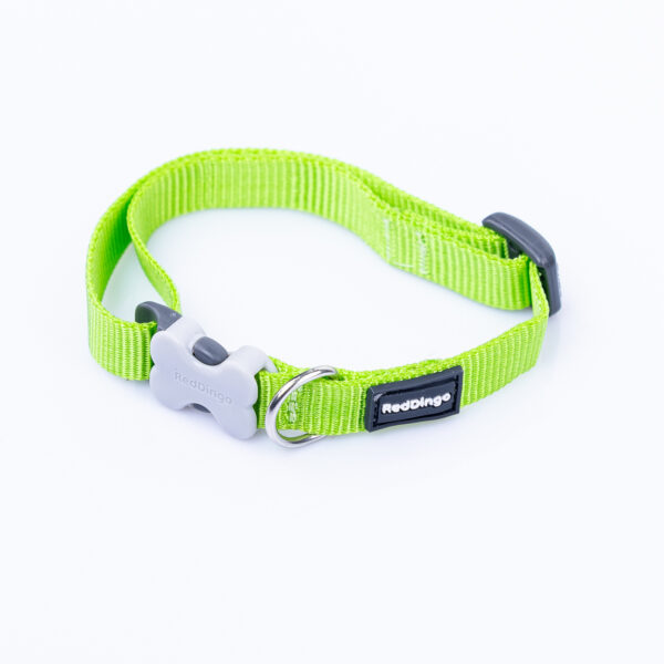 Obojok Plain Classic Lime Green pre pudlíkov