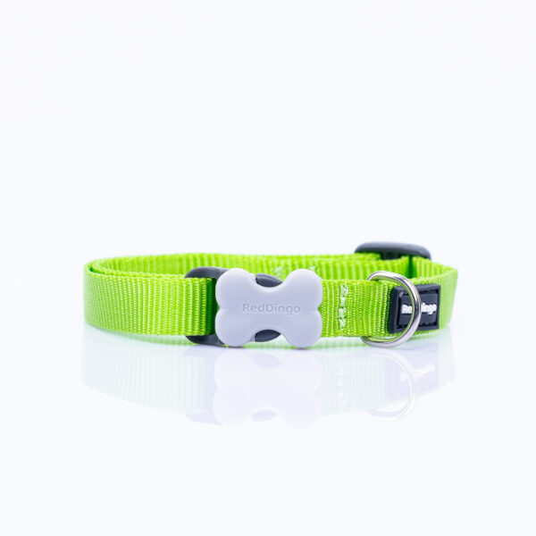 Obojok Plain Classic Lime Green pre malé rasy psov