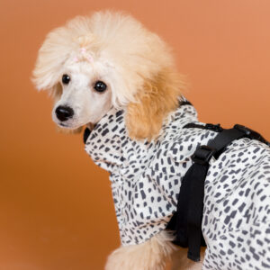 pršiplášť pre psa